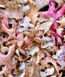 The Autumn Leaves 2