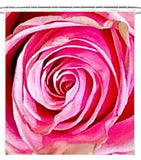 Big Pink Rose (2)