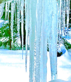 Icicle (blue)