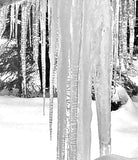 Icicle