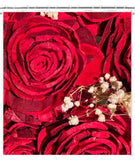 Red Roses