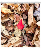 The Red Leaf